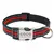 Collar personalizado para perro con placa grabada | Brilla en la oscuridad | 4 colores - Pet Shop Pets | Accesorios para mascotas