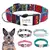 Collar personalizado para perro con placa grabada | Brilla en la oscuridad | 4 colores