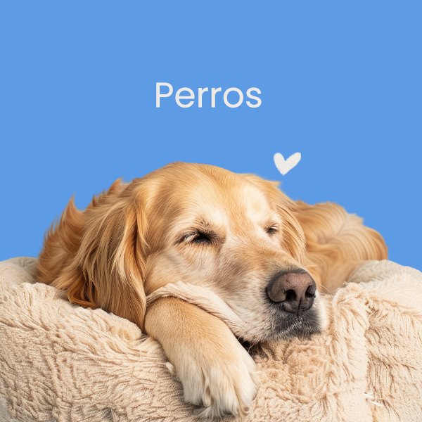 Banner de Pet Shop Pets | Accesorios para mascotas