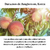 SKINFOOD - Peach Cotton Multi Finish Powder Large