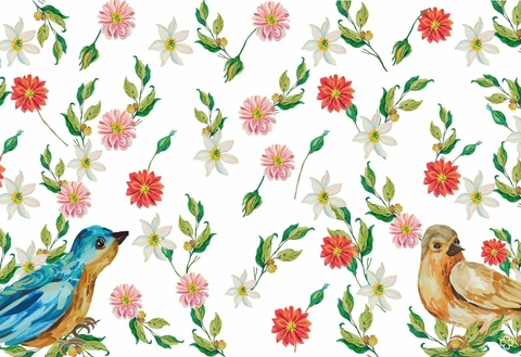 Conjunto “Passarão, Passarinho”