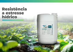 Banner da categoria Resistência a estresse hídrico