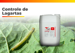 Banner da categoria Controle de lagartas