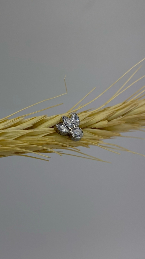 Navete indiano - comprar online