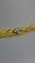 Navete indiano - comprar online