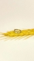 Clicker chapa liso - loja online