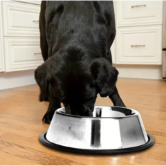 Plato para Alimentos de Mascotas 34cm