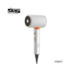 Secador de Pelo Profesional 6000W - Rojas247