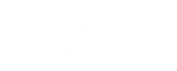Aromatizadores, Velas Aromáticas e Sabonetes Naturais que Encantam - SEIXAS CORPO & ALMA