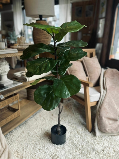 Pandurata 1,20m - comprar online
