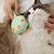 Imagem do Escova de vapor para gatos