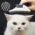 Escova de remoção de pelos de animais de estimação na internet
