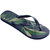 Chinelo Havaianas Aloha - comprar online