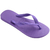 Chinelo Havaianas Top - loja online