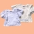 BLUSA VOLADOS APPLE - comprar online