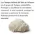 ADAPTOGENOS COMPLEX EPIGENETIC LAB - 60 CAPSULAS - tienda online