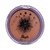 Blush Compacto Wandinha Safira na internet