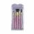Kit de Pincéis Meilys