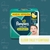 Pañales Pampers Babydry Pack Mensual