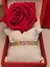 Bracelete Safira com Diamantes