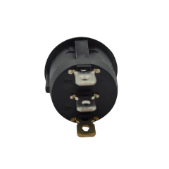 CHAVE GANGORRA RED. KCD1-106N 3T 6A/250V - AZUL (ON-OFF) na internet
