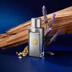 Antonio Banderas The Icon ELIXIR X 100mL en internet
