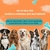 Suplemento Suprimais Dog com Probióticos e Prebióticos na internet