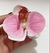 Piranha de Cabelo Orquídea