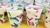 GELATINA DE MOSAICO