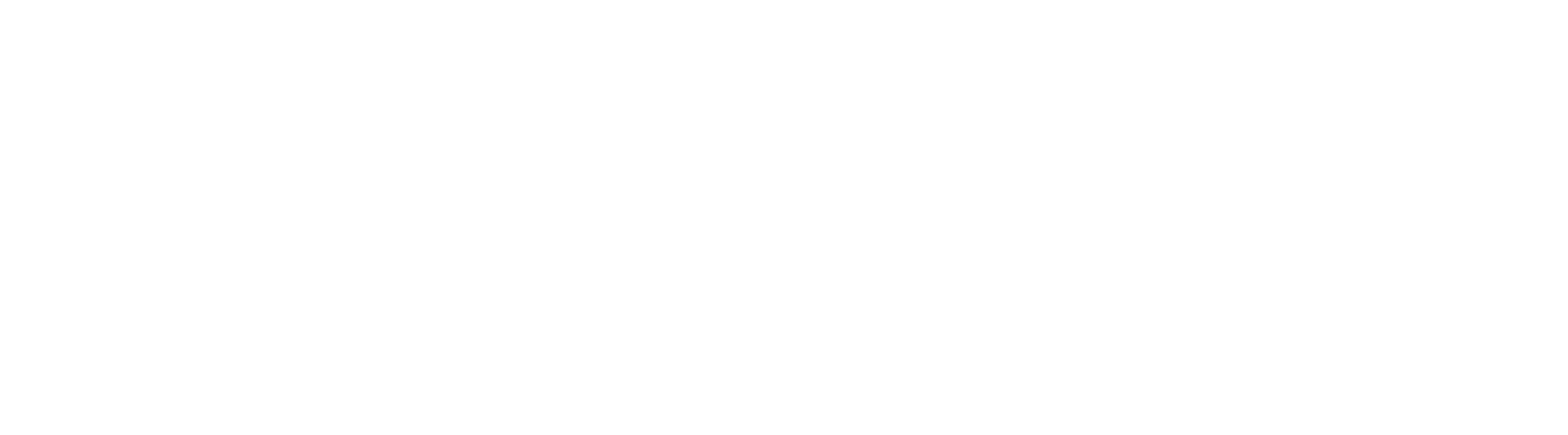 Laranjal Acessórios Finos