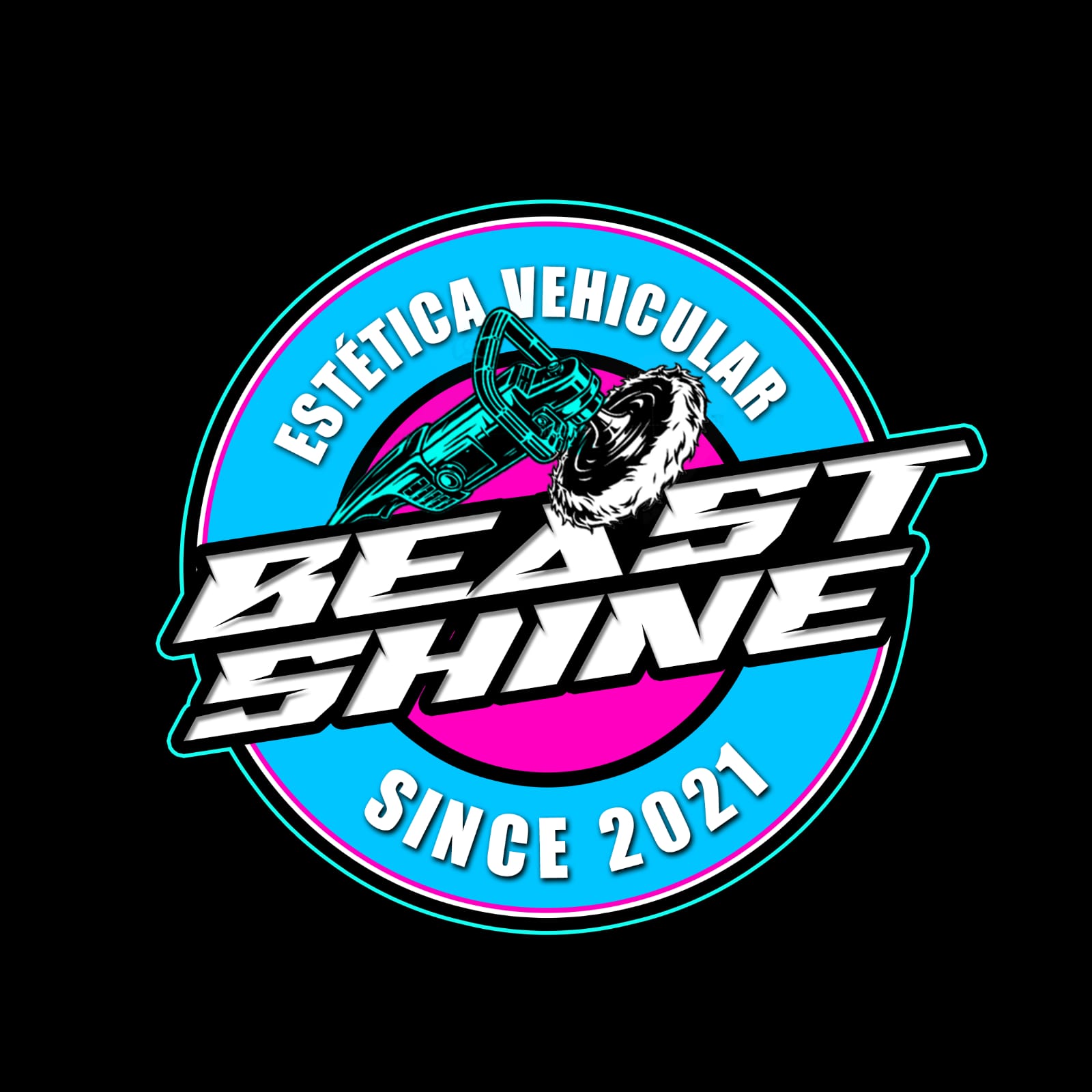 Beast Shine Detail