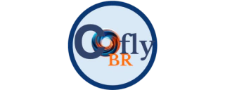 CoflyBr  E-commerce