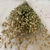 Arroz marino - tienda online