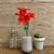 Ramo eco - tienda online