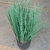 Pasto artificial - comprar online