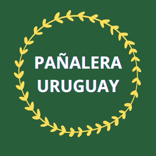 Pañalera uruguay