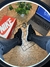 Nike Dunk Low Sb - Swoosh black
