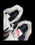 Vans knu skool na internet
