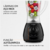 Liquidificador Mondial Ultra Facility Power 2 Velocidades 550W Preto