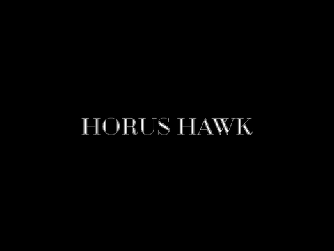 Carrusel HORUS HAWK