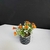 MACETA ESMALTE BOXWOOD