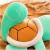 Pelúcia Squirtle Pokémon - loja online