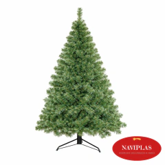 Árbol Imperial Verde