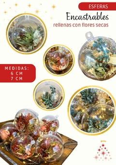 Imagen de Esferas encastrables 6cm con flores secas, pack de 30 Unidades