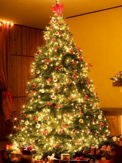 Luces Led Navideñas - comprar online
