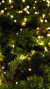 Luces