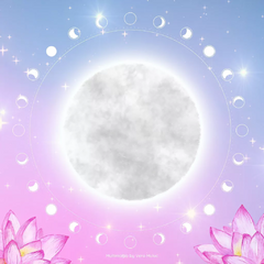 Paño Multimagias Luna - comprar online