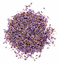Hierbas lavanda en internet
