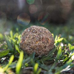 bomba herbal xl - purificacion - comprar online