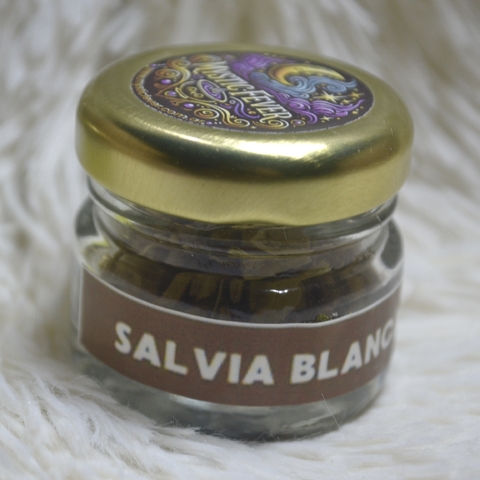 Hierba salvia blanca - comprar online